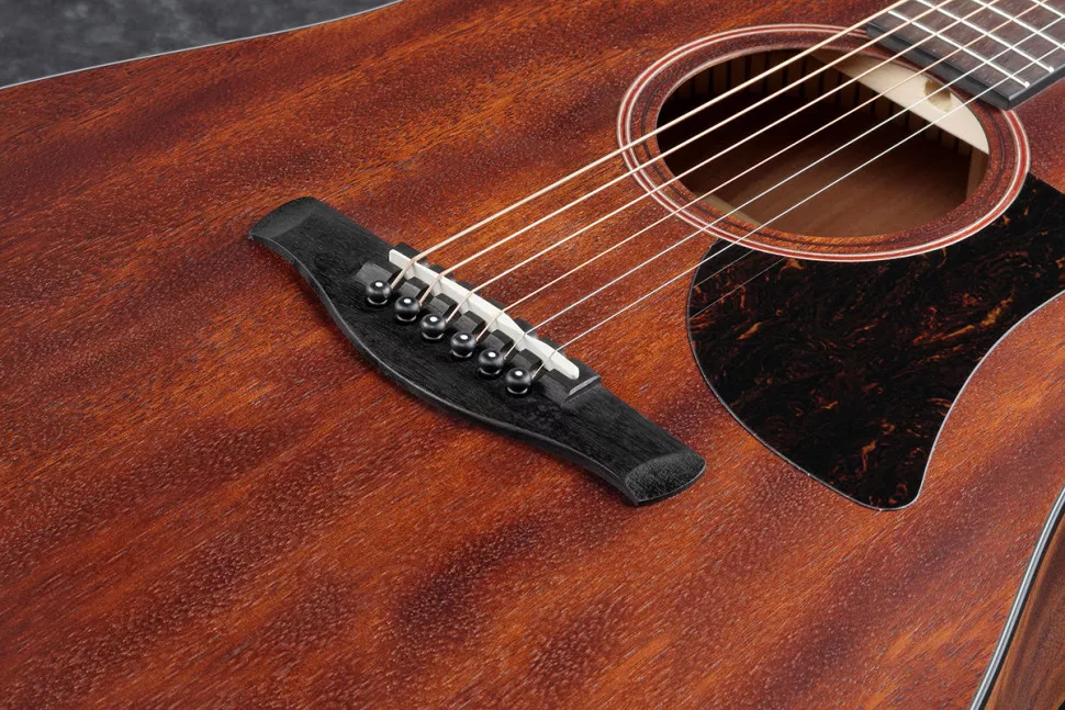 Ibanez AAD140 OPN