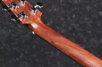 Ibanez AAD140 OPN