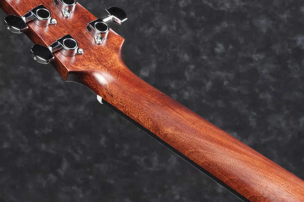 Ibanez AAD140 OPN
