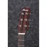 Ibanez AAD140 OPN