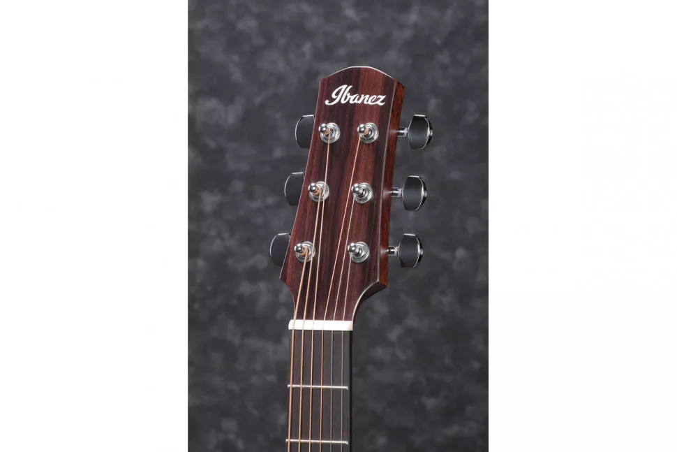 Ibanez AAD140 OPN