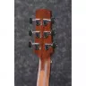 Ibanez AAD140 OPN