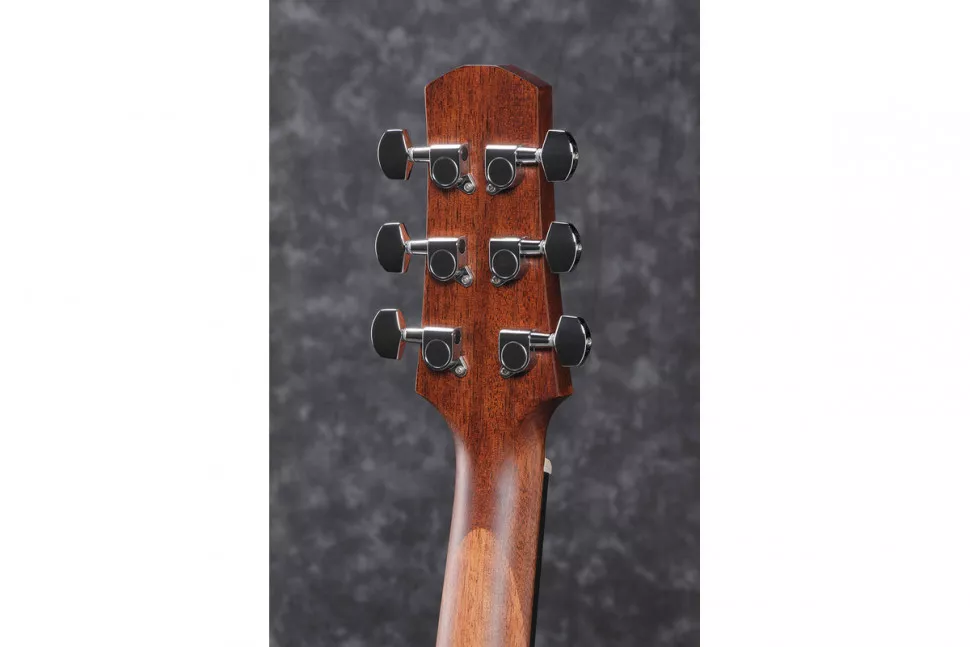 Ibanez AAD140 OPN