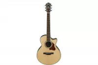 Ibanez AE205JR-OPN