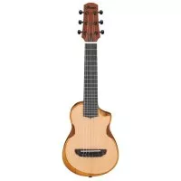 Ibanez AUP10N OPN