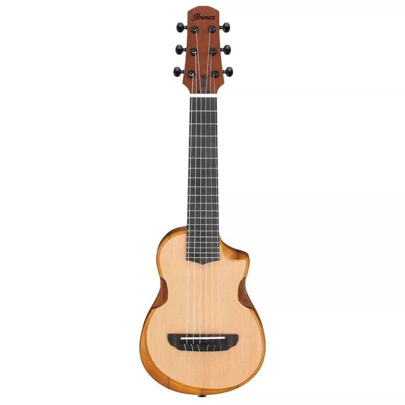 Ibanez AUP10N OPN