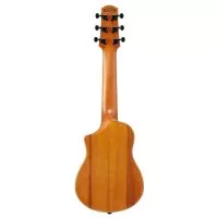 Ibanez AUP10N OPN