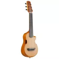 Ibanez AUP10N OPN