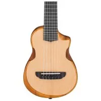 Ibanez AUP10N OPN
