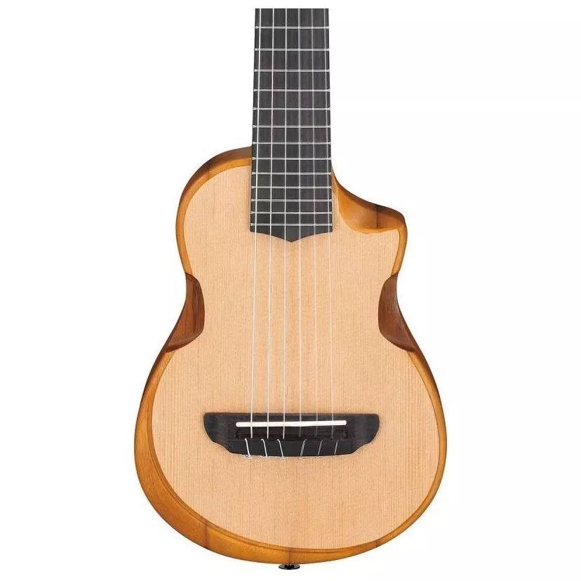 Ibanez AUP10N OPN