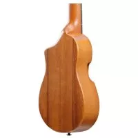 Ibanez AUP10N OPN