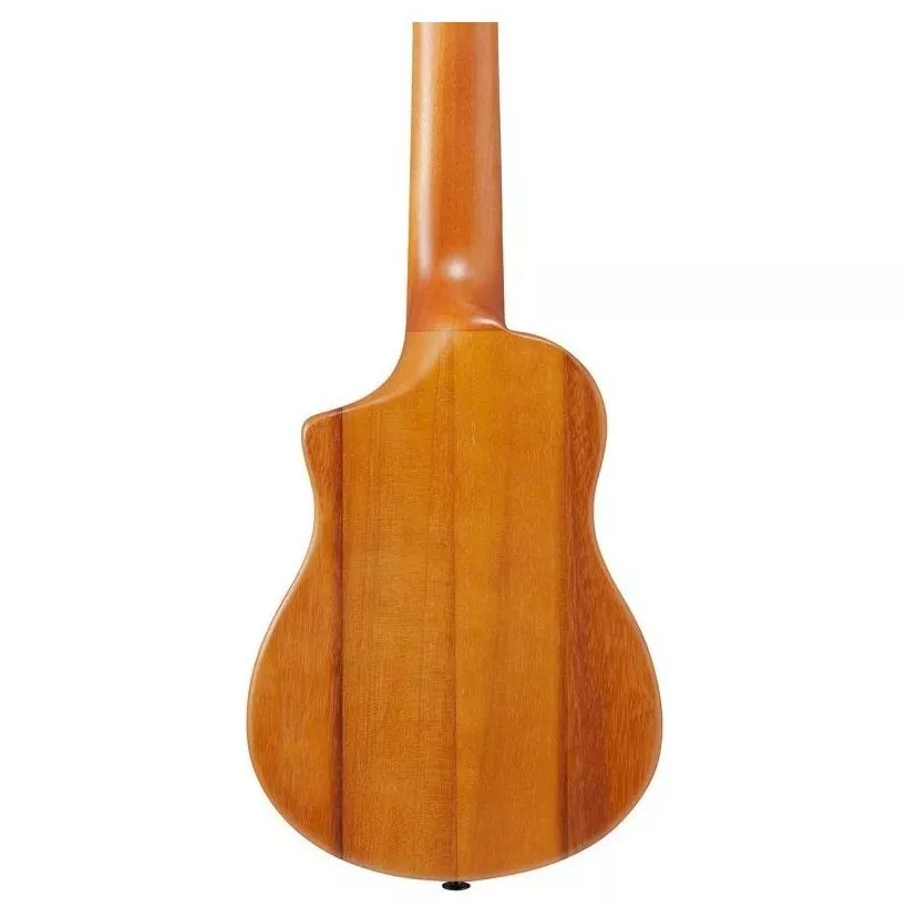 Ibanez AUP10N OPN