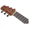 Ibanez AUP10N OPN