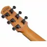 Ibanez AUP10N OPN