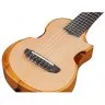 Ibanez AUP10N OPN