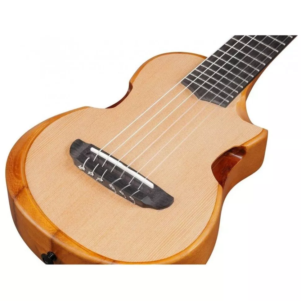 Ibanez AUP10N OPN