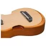 Ibanez AUP10N OPN