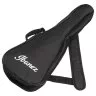 Ibanez AUP10N OPN