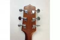 Takamine GD10 NS