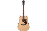 Ibanez AAD100