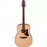 Ibanez AAD100