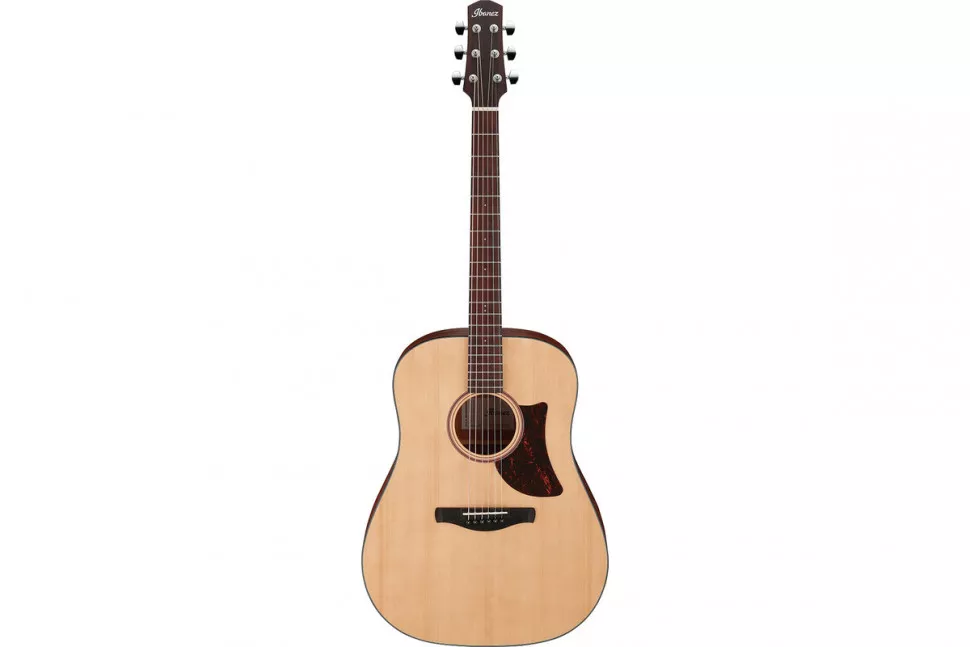Ibanez AAD100