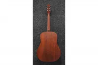 Ibanez AAD100