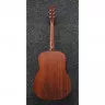 Ibanez AAD100