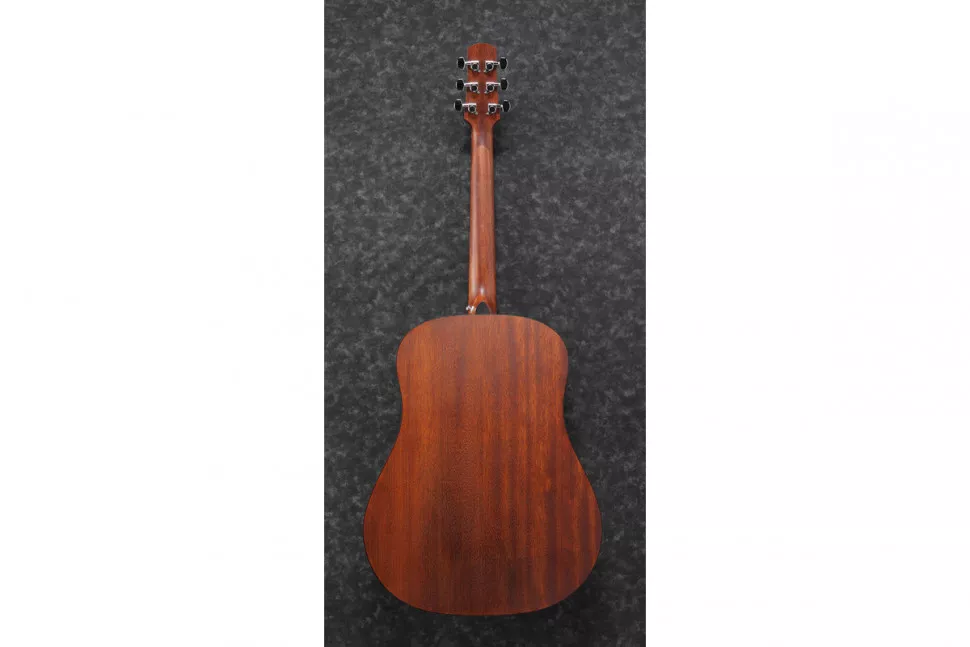 Ibanez AAD100