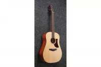 Ibanez AAD100