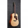 Ibanez AAD100