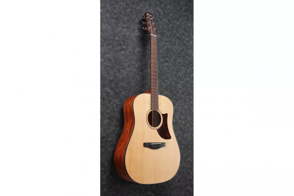 Ibanez AAD100