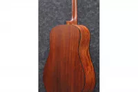 Ibanez AAD100