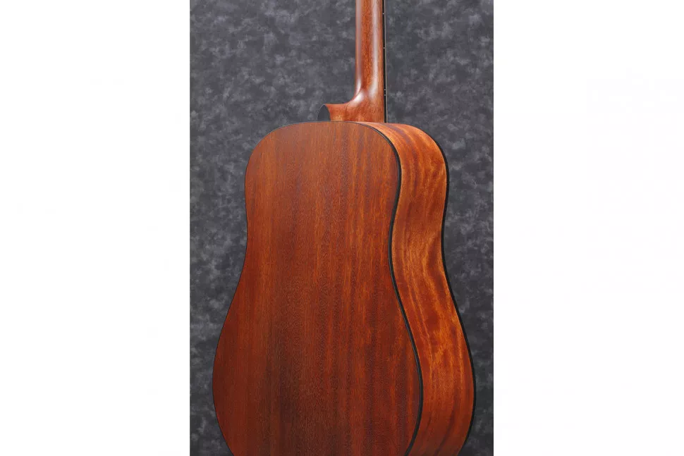 Ibanez AAD100