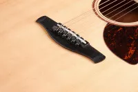 Ibanez AAD100