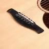 Ibanez AAD100