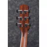 Ibanez AAD100