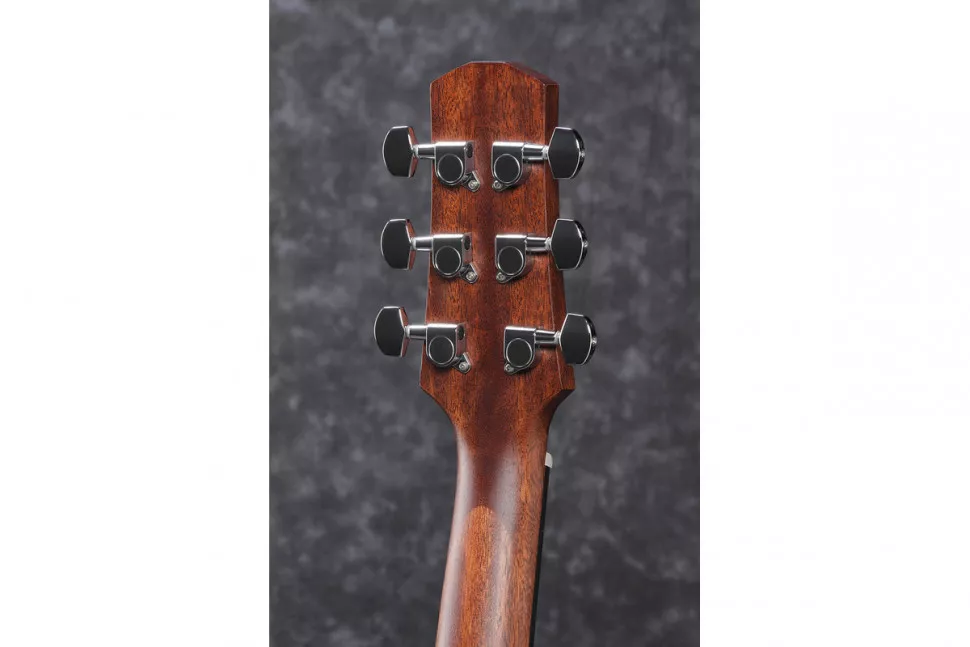 Ibanez AAD100