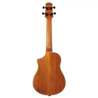 Ibanez AUT10 OPN