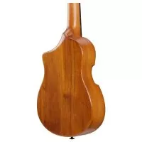 Ibanez AUT10 OPN