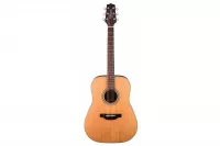 Takamine GD20-NS