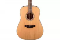 Takamine GD20-NS