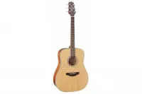 Takamine GD20-NS