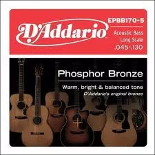 D'Addario EPBB170-5 Acoustic Bass Phosphor Bronze 5 String D'Addario EPBB170-5 Acoustic Bass Phosphor Bronze 5 String