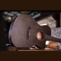 Cort Core-OC Spruce (Open Pore Trans Black)