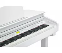 Kurzweil KAG-100 WHP