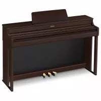 Casio AP-300 BN