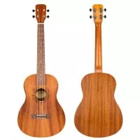 Flight NUB310 Baritone