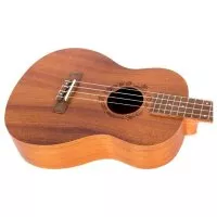 Flight NUB310 Baritone