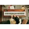 Casio PX-S1100 WE
